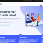 Web Hosting Company